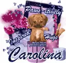 Carolina