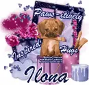Ilona