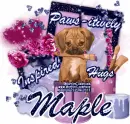 Maple