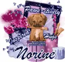 Norine