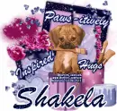 Shakela