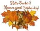 Hello Pumpkin- Pami