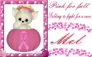 Mel -Pink for fall Falling to fight for a cure
