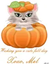 Wishing you a cute fall day Xoxo, Mel