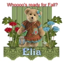 Ready For Fall- Elia