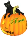 Cat Jack Tara