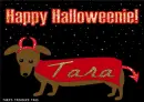 Happy Haloweenie Tara