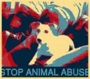 animal abuse is bad so lets stop it!