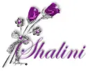 Purple Rose - Shalini