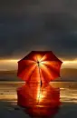 Umbrella 