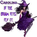 If the Broom Fits, Fly it - Carolina