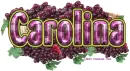 Carolina Grapes
