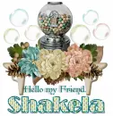 Bubblegum Fun- Shakela