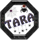 Tara Spider Jewels