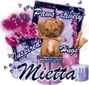Mietta