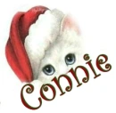 Christmas Cat - Connie
