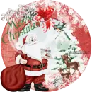 Christmas Santa with deers