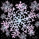 SNOWFLAKES 