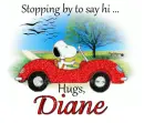 Stopping By - Diane