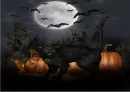 Black Cat Background