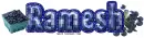 Ramesh Blueberries