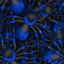 blue tarantula tiled