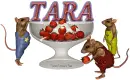 Tara Mouse berries