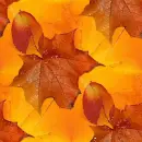 fall leaves tiled background
