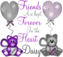 Daisy -Friend's Are kept....