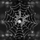 Silver Spider