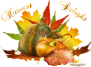 Harvest Delight - Shakela