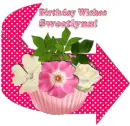 Birthday Wishes- Sweetlynn