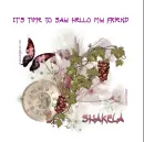 TIME TO SAY HELLO - SHAKELA