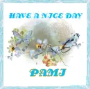 HAVE A NICE DAY - PAMI