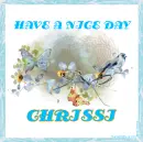 HAVE A NICE DAY - CHRISSI