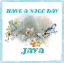 HAVE A NICE DAY - JAYA