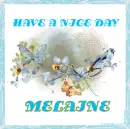 HAVE A NICE DAY - MELAINE