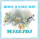 HAVE A NICE DAY - MILEIDI