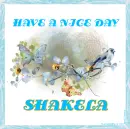 HAVE A NICE DAY - SHAKELA