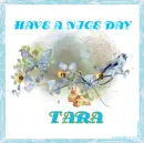 HAVE A NICE DAY - TARA