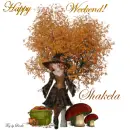 SHAKELA