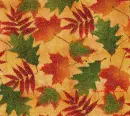 Autumn BG