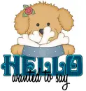 Hello