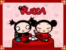 Pucca