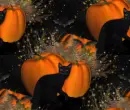 Cats and pumpkins
