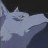 wolf's rain