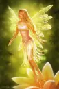 the beautiful fairy