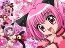 Toyko mew mew 