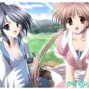 Perinu