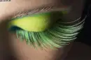 eye